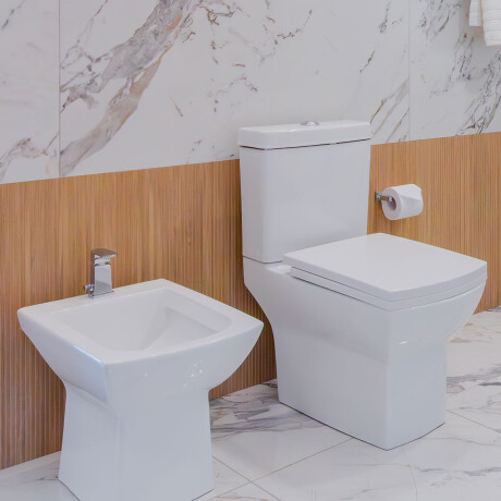 Bidet Con Transferencia Blanco Brillo 1 Agujero Aqualia Linea Garda 000