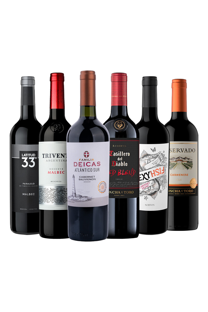 Pack Bacán Favoritos del año: Seleccionados atemporales x6 vinos 