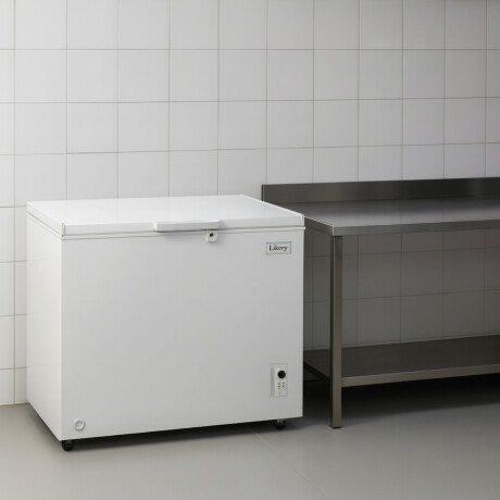 Freezer Horizontal 1 Puerta 300 Litros Freezer Horizontal 1 Puerta 300 Litros