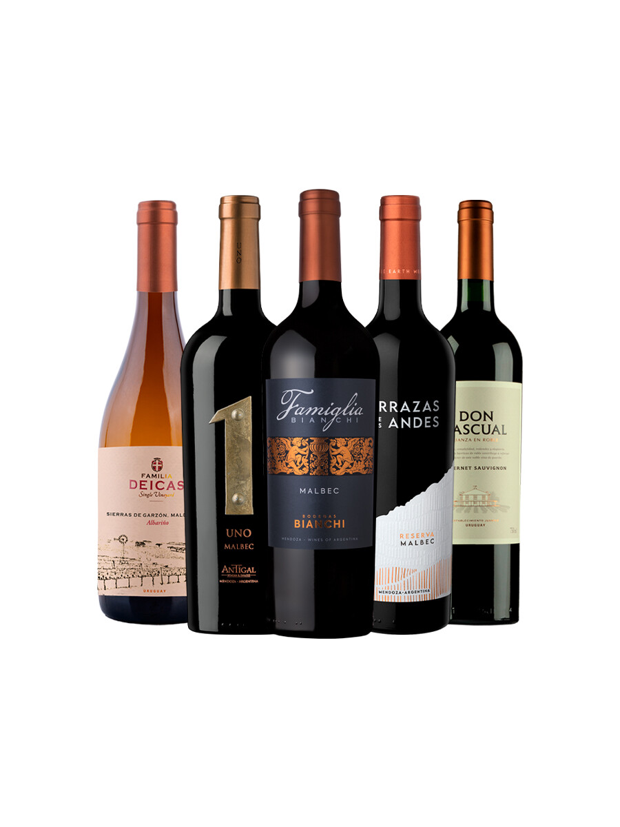 Pack Bacán Selección x5 vinos Elegidos del Mes Pack Bacán Selección x5 vinos Elegidos del Mes