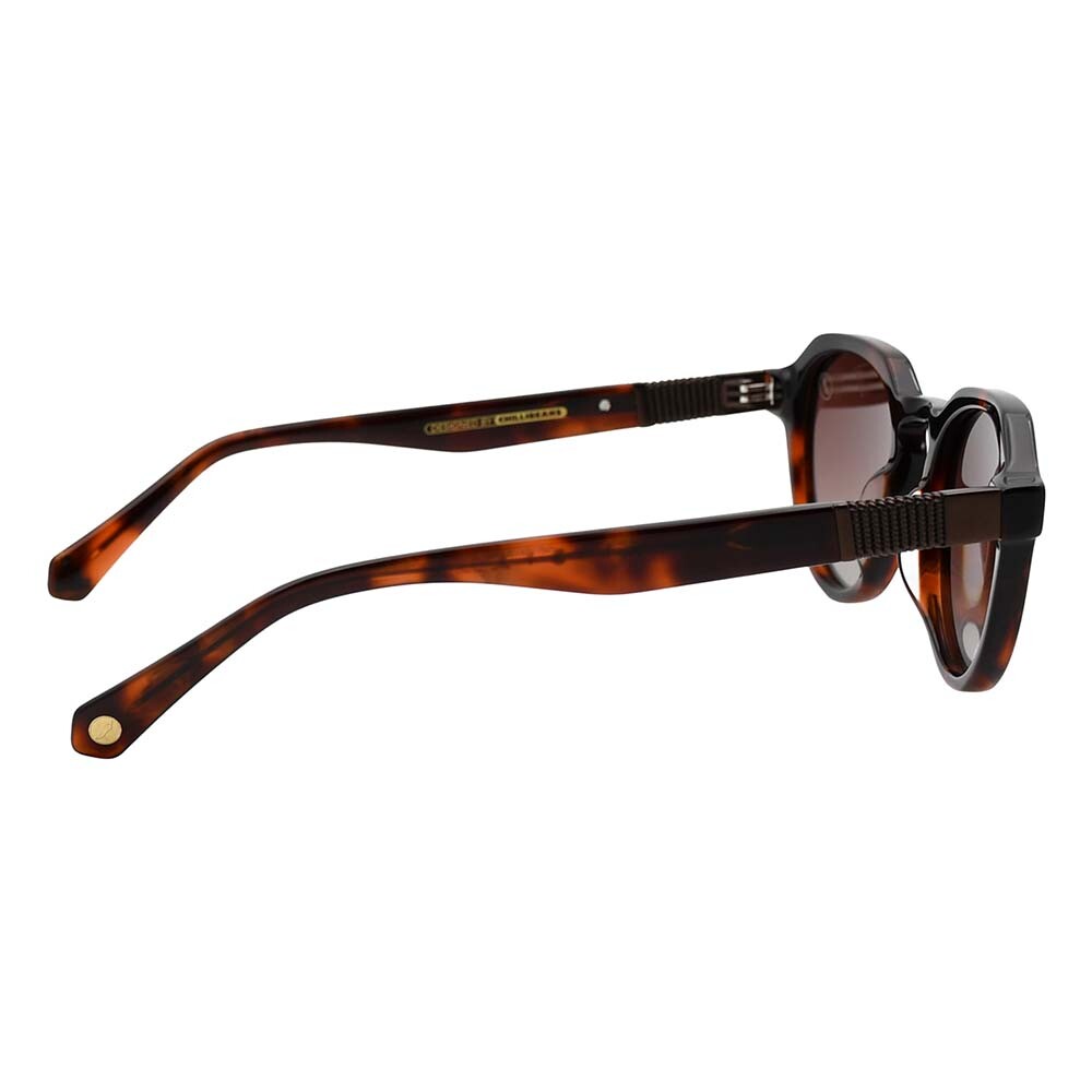 Lentes De Sol De Acetato Redondo Ivete Sangalo Gradiente Marón/Tortuga