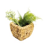 MACETERO CUADRADO JACINTO AGUA 18x18x14CM NATURAL MACETERO CUADRADO JACINTO AGUA 18x18x14CM NATURAL