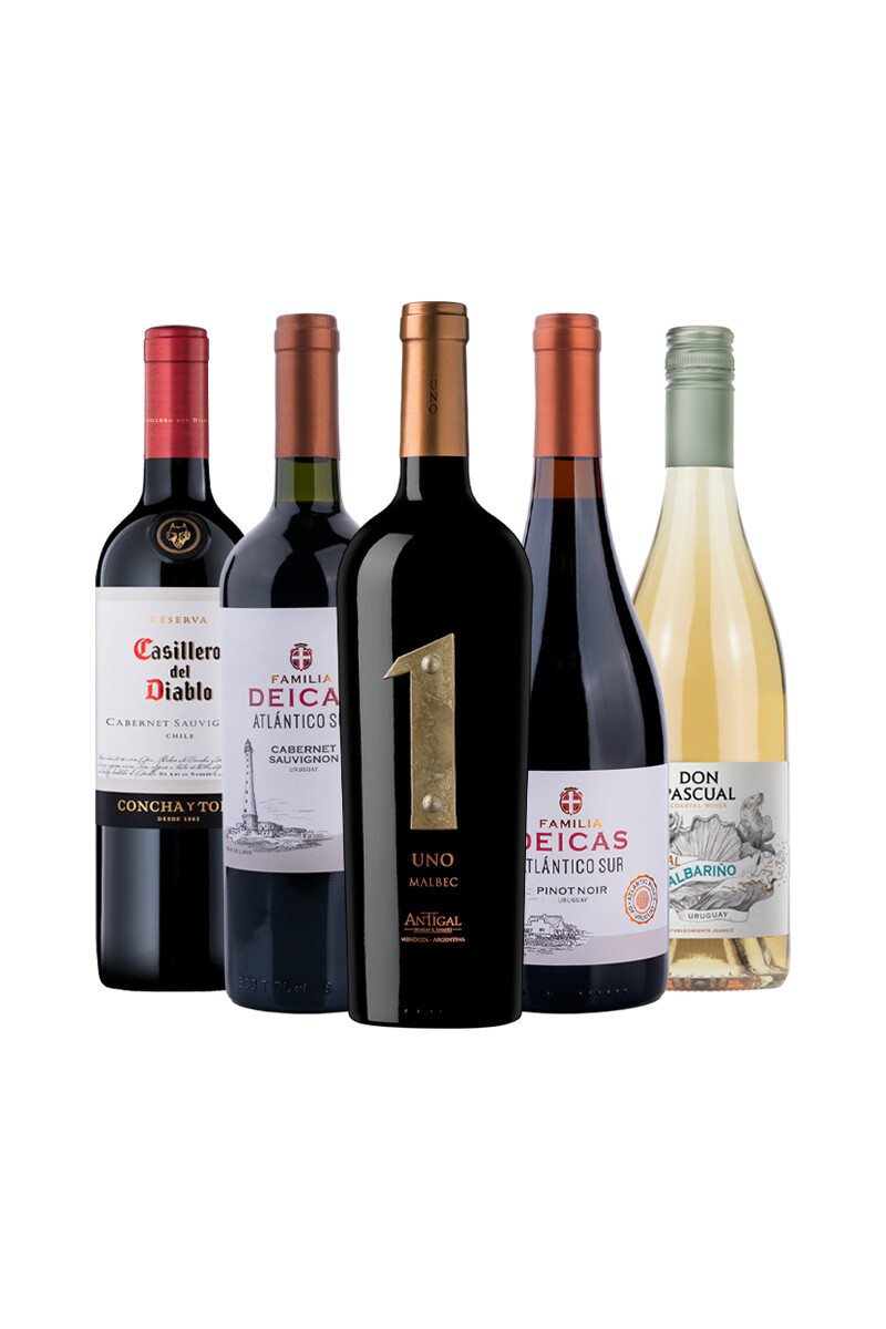 Pack Bacán Selección San Valentin x5 vinos Match Perfecto 