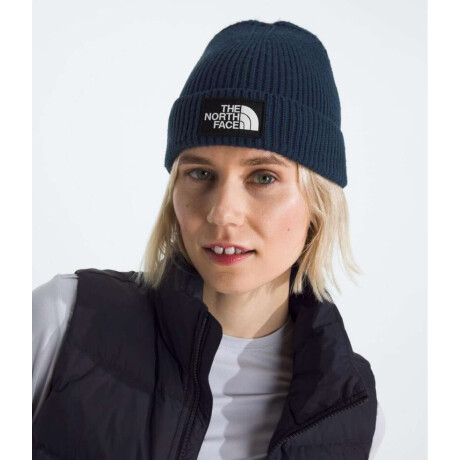 Gorro de punto TNF Summit Navy