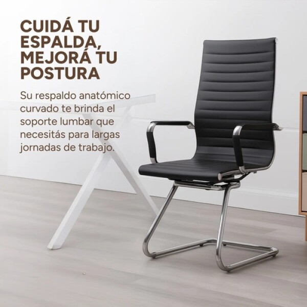 Silla Oficina Escritorio Patas Fijas Respaldo Anatómico Color Negro Plateado
