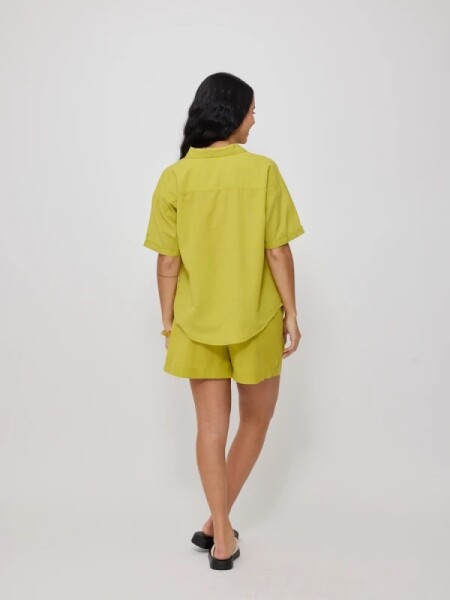 CAMISA RUSTY SADUI VERDE