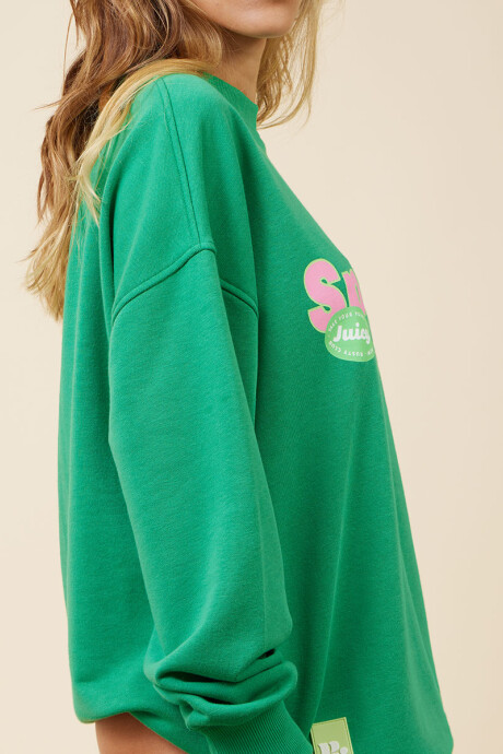 SWEATER CAYAMBE RUSTY Verde