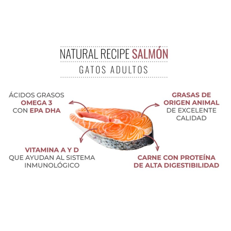 VITALCAN BALANCED GATOS ADULTOS SALMÓN 15 KG