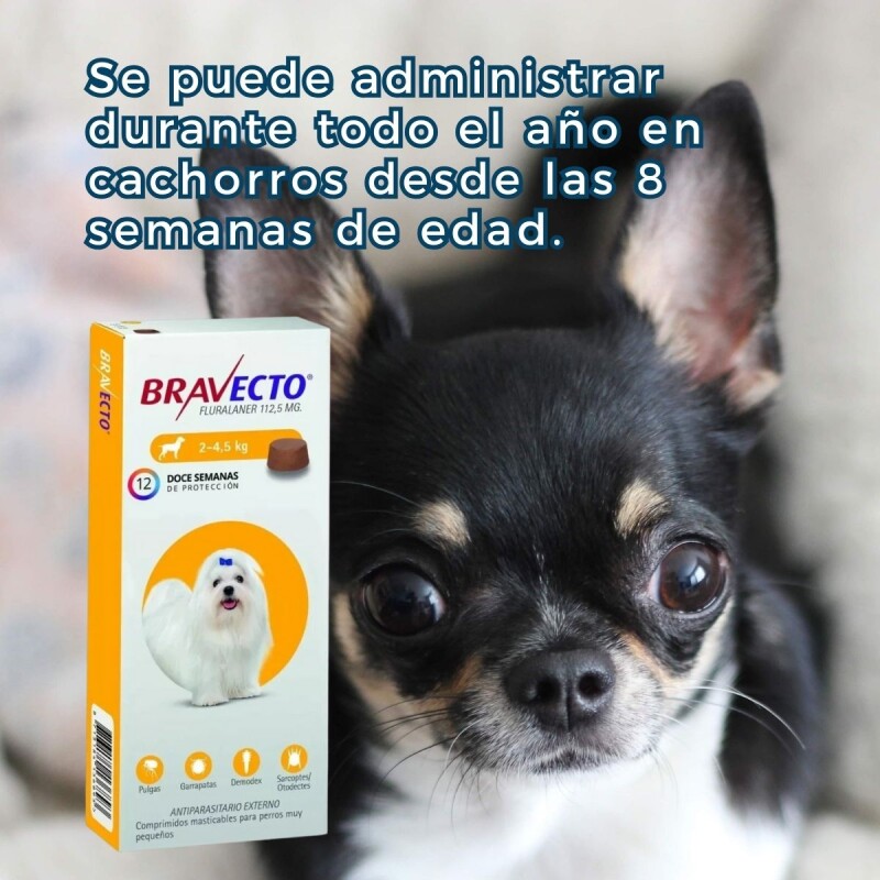 BRAVECTO ANTIPULGAS Y ANTIGARRAPATAS 2 A 4.5 KG