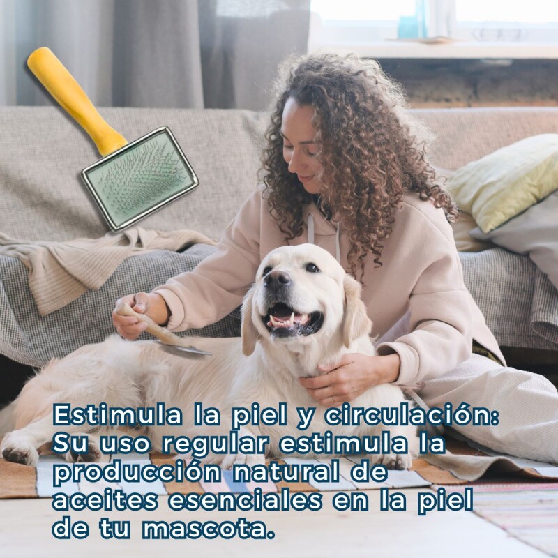 CARDINA PARA PERROS PET FUNNY 12x6 CM CARDINA PARA PERROS PET FUNNY 12x6 CM