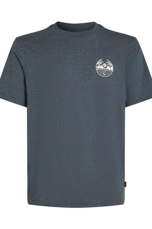 Remera O'Neill Circle Back Print Steel Azul Remera O'Neill Circle Back Print Steel Azul