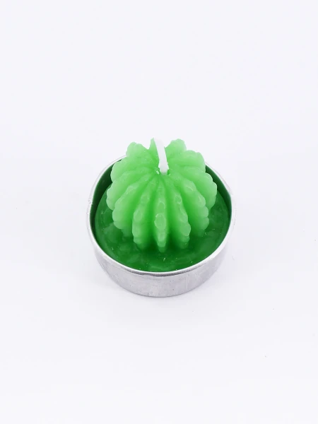 SUCULENTA VELA CACTUS VERDE