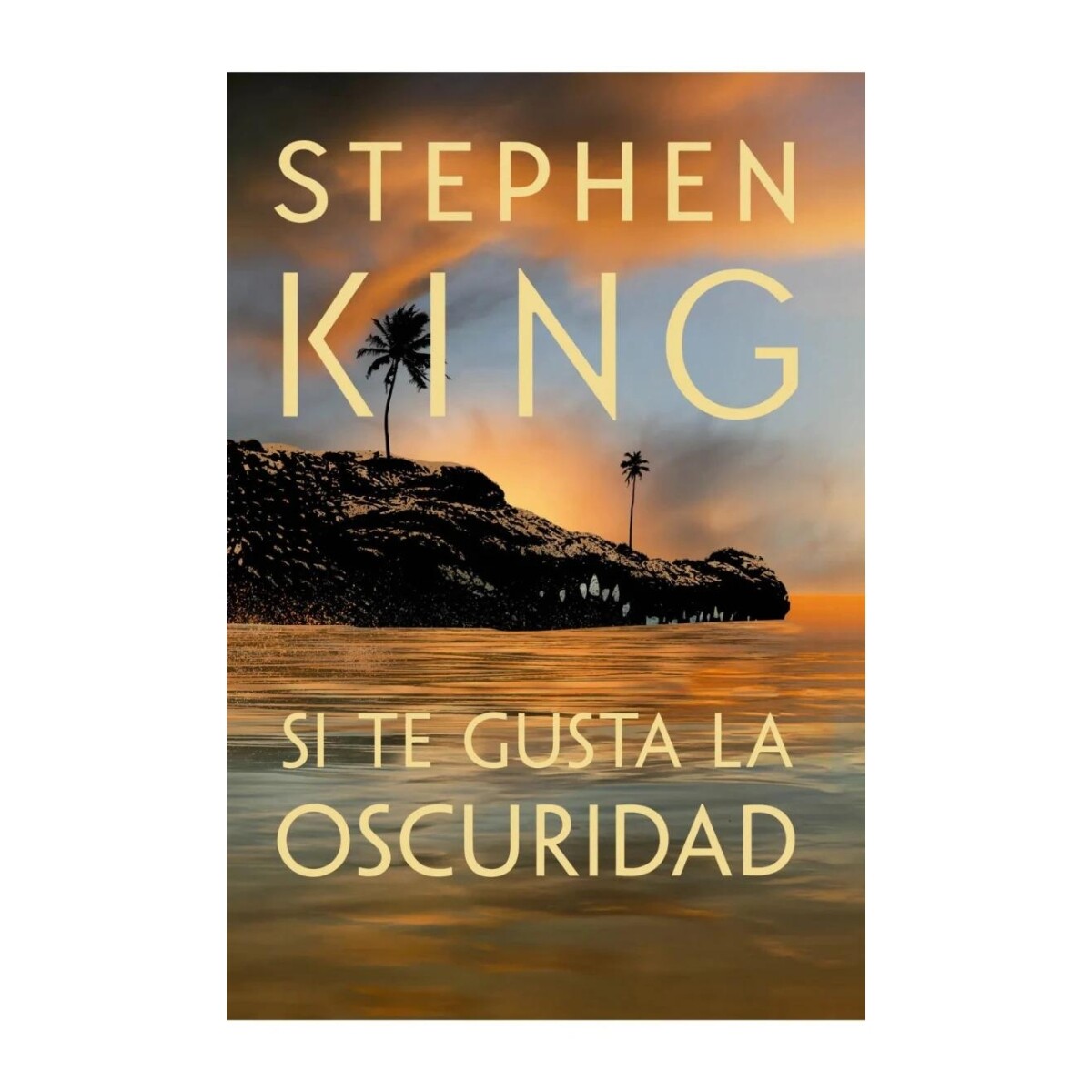 Libro Si Te Gusta la Oscuridad Stephen King 