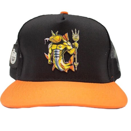 Gorro de visera 3D ANIMADO - King Brasil Naranja