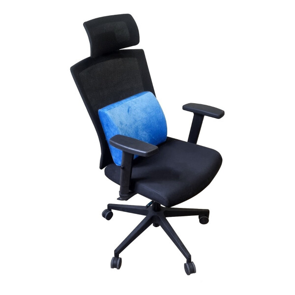 Soporte Respaldo Lumbar Anatómico Ergonómico Viscoelástico Variante Color Azul Liso