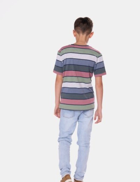 REMERA RAYADA Verde