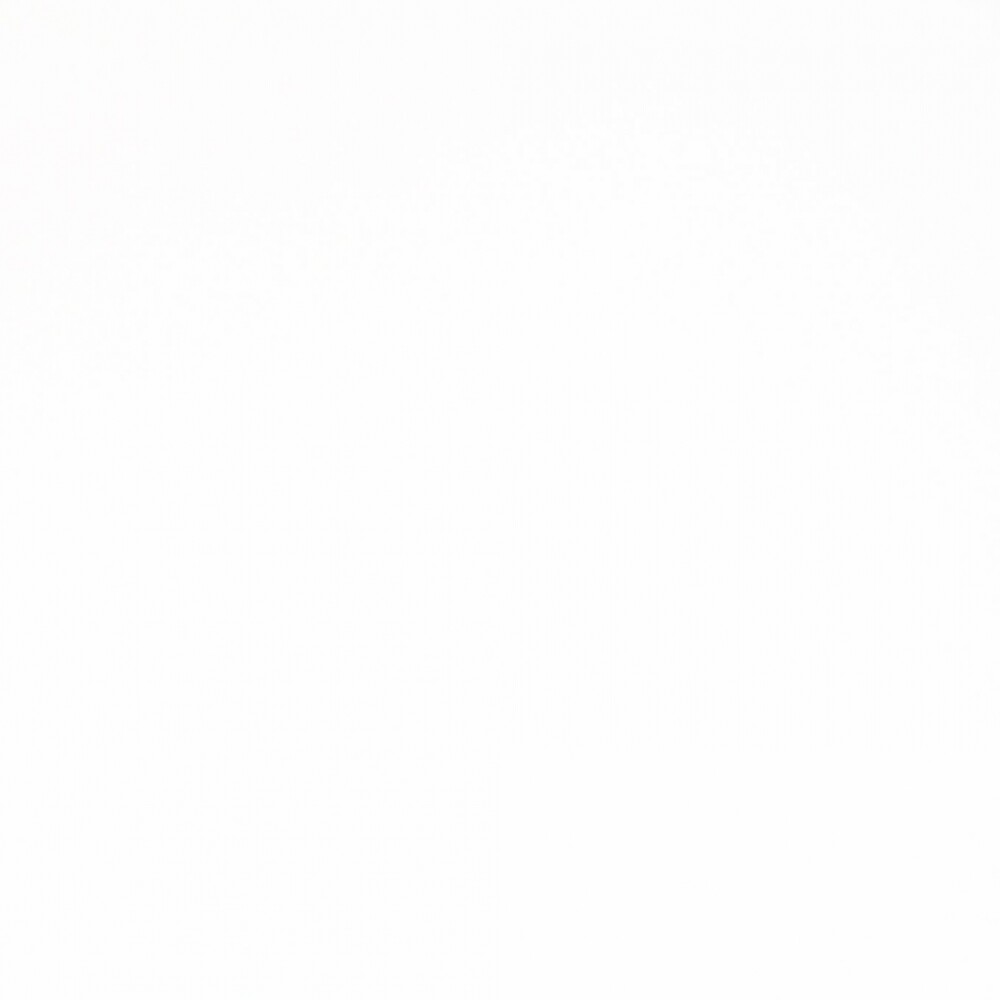 CARTULINA PRISMA 50X70 DE 220 GRAMOS COLOR BIANCO Nº17