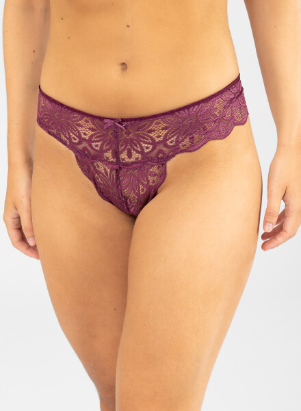 Colaless aster Bordeaux