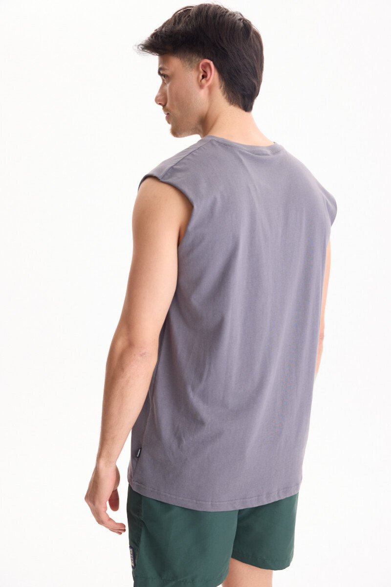 Remera Texas Gris