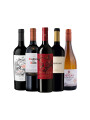 Pack Bacán Selección x5 vinos Recomendados de Octubre Pack Bacán Selección x5 vinos Recomendados de Octubre