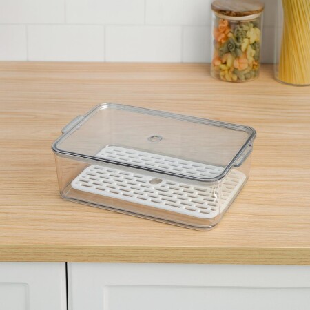 ORGANIZADOR ACRILICO CON TAPA Y REJILLA 34x21x16CM ORGANIZADOR ACRILICO CON TAPA Y REJILLA 34x21x16CM