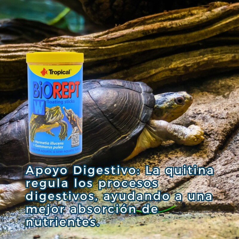 ALIMENTO PARA TORTUGAS ACUÁTICAS Y SEMIACUÁTICAS BIOREPT 30GR ALIMENTO PARA TORTUGAS ACUÁTICAS Y SEMIACUÁTICAS BIOREPT 30GR