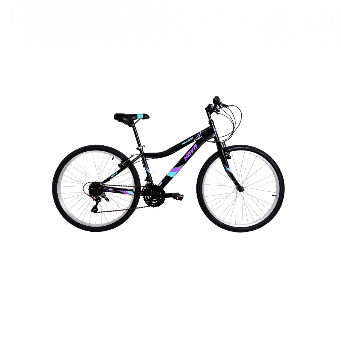 Bicicleta Andes Dama Rodado 26 - Negro 