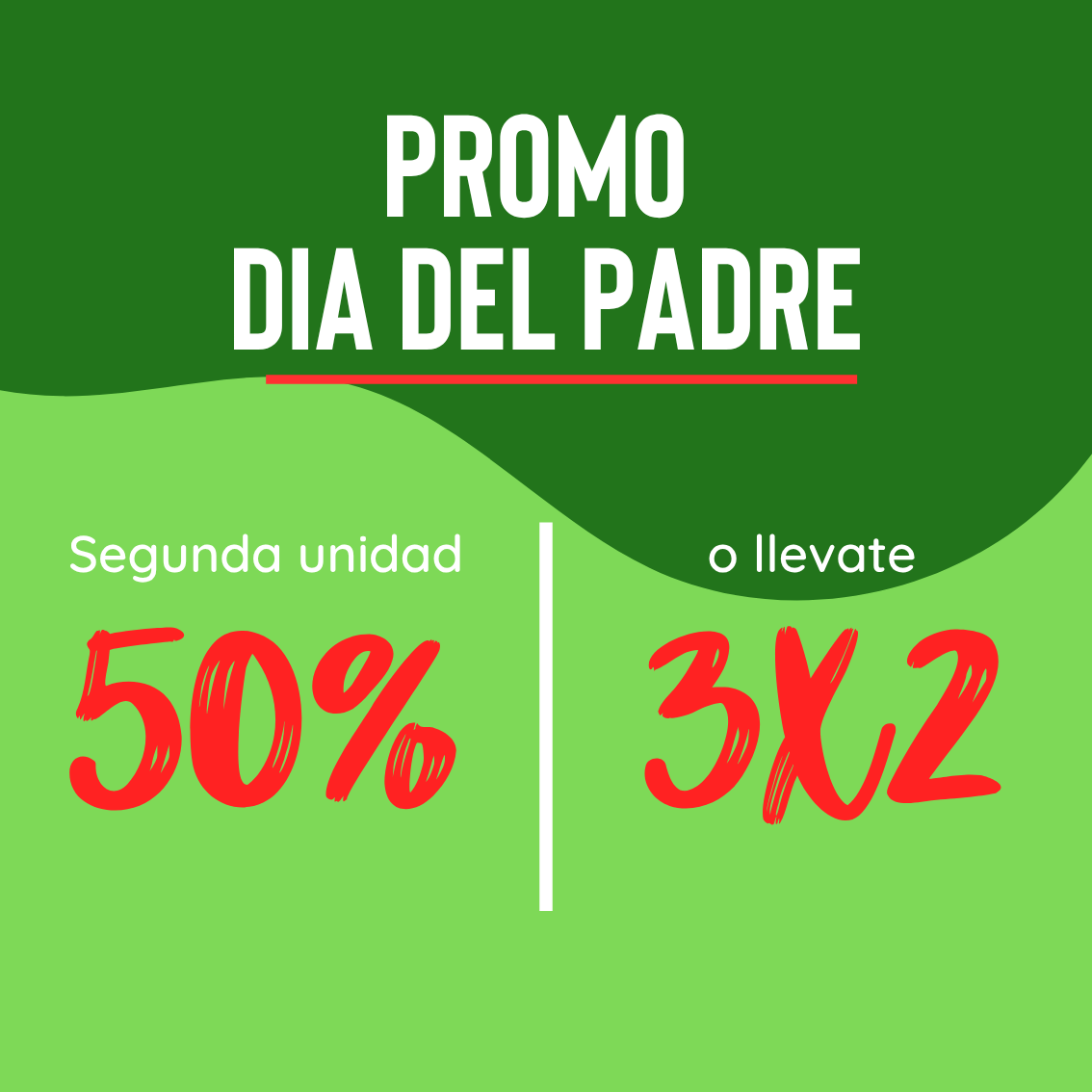 Dia del pader