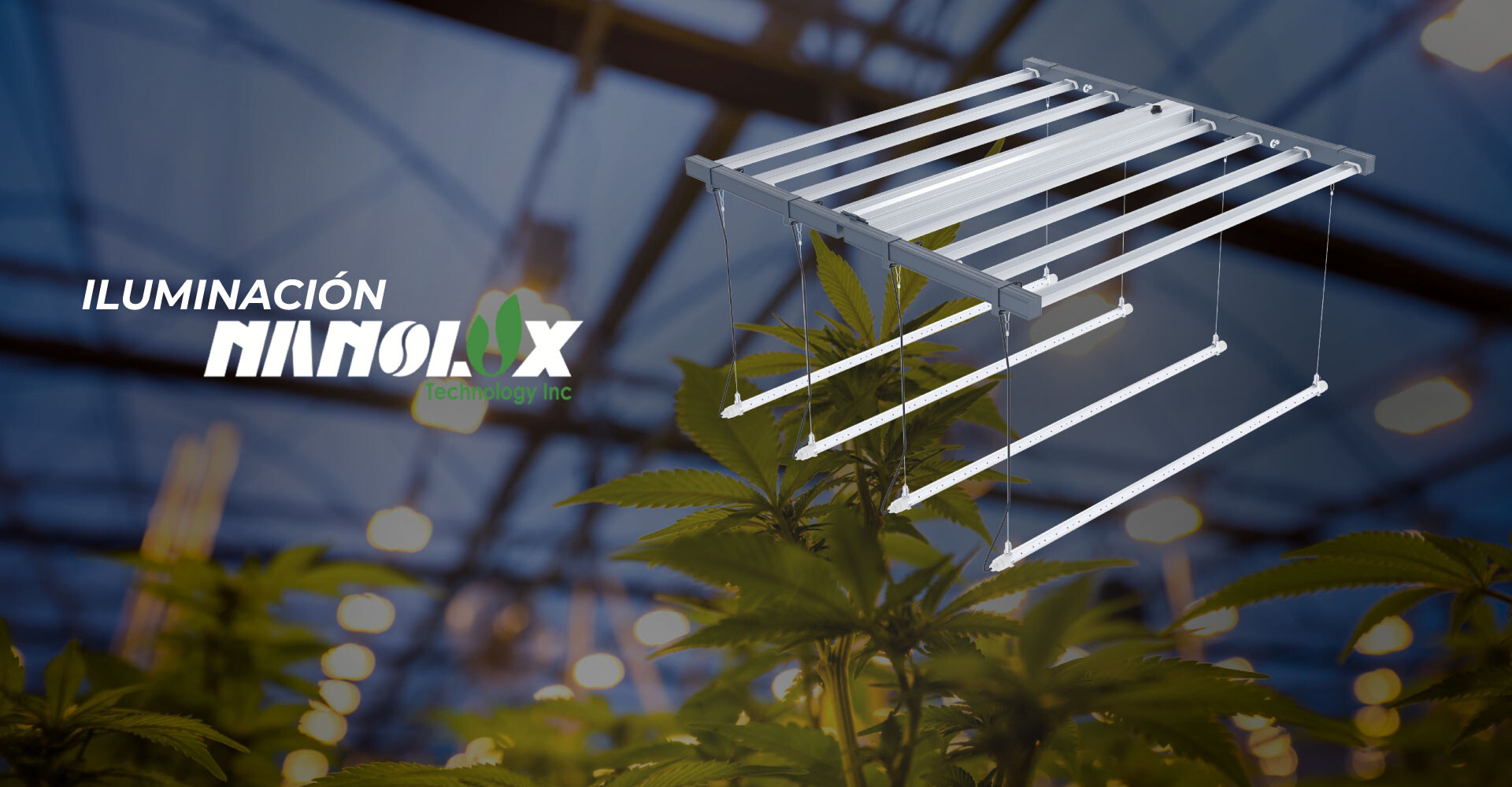 Nanolux