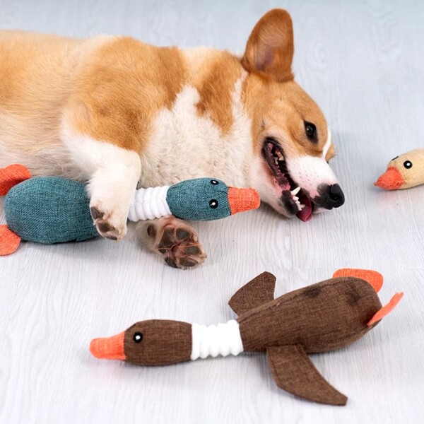 Juguete Peluche Perro Mascota Masticable Pato Calidad Color Variante Verde