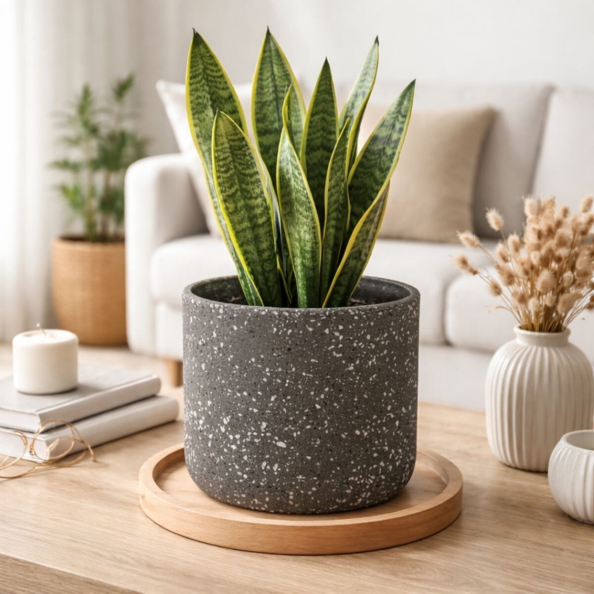 MACETA TERRACOTA Gris Medium 