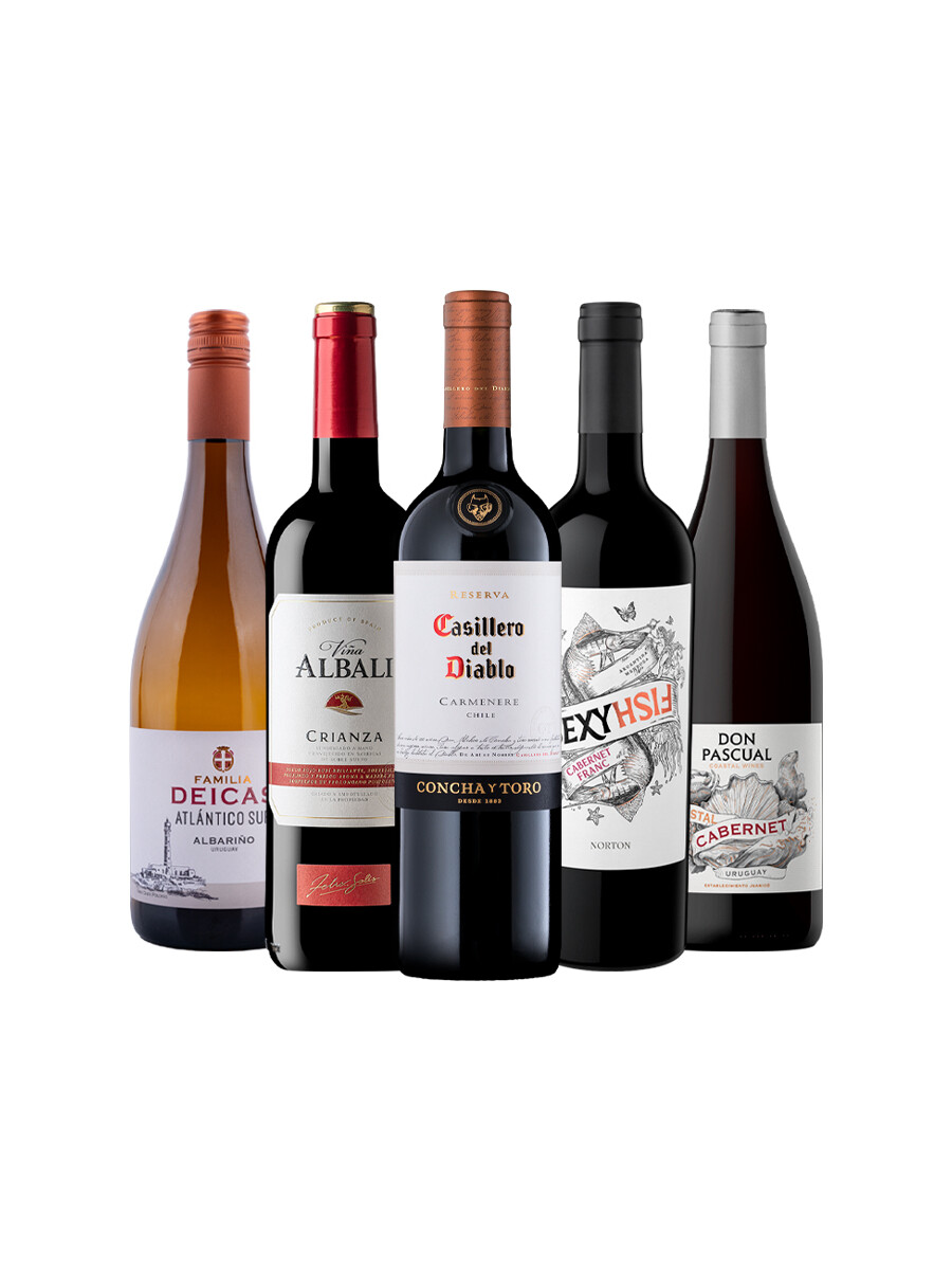 Pack Bacán Selección En equilibrio x5 vinos Pack Bacán Selección En equilibrio x5 vinos