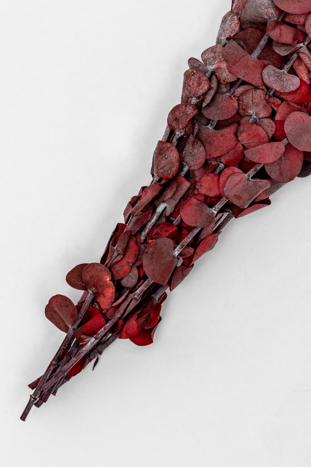 Deco Floral Hojas De Eucalipto Color Unico