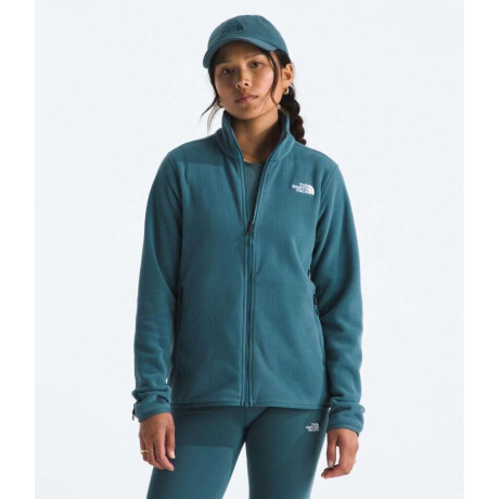 Campra polar Glacier Space