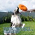 JUGUETE FRISBEE GRANDE 24 CM PARA PERROS JUGUETE FRISBEE GRANDE 24 CM PARA PERROS