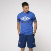 Remera Nareto Umbro Nacional Oficial Hombre 619