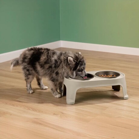 Comedero para mascota Rimax Small Taupe