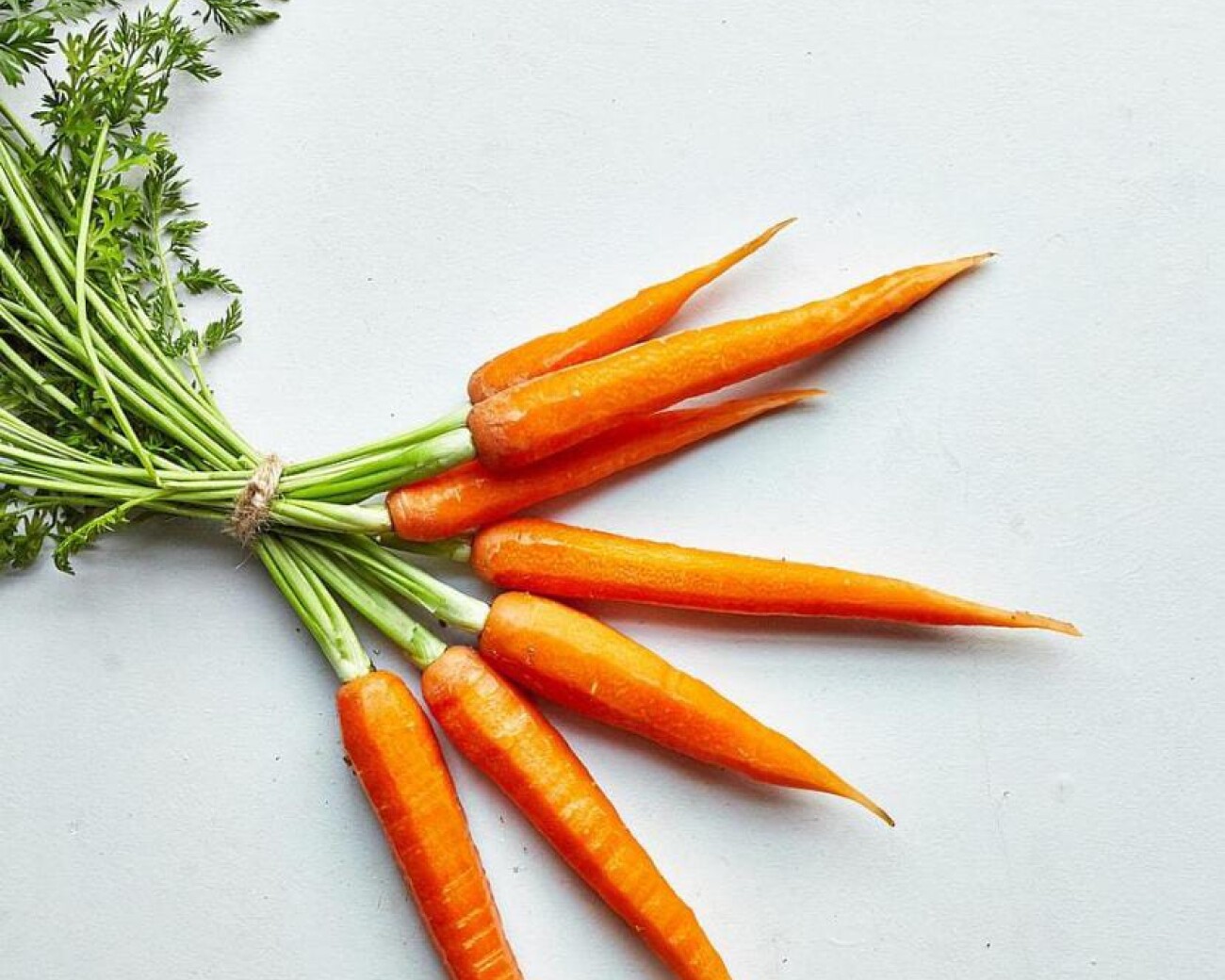 Pelador “PeelStore™” con depósito recolector (verde) Pelador “PeelStore™” con depósito recolector (verde)