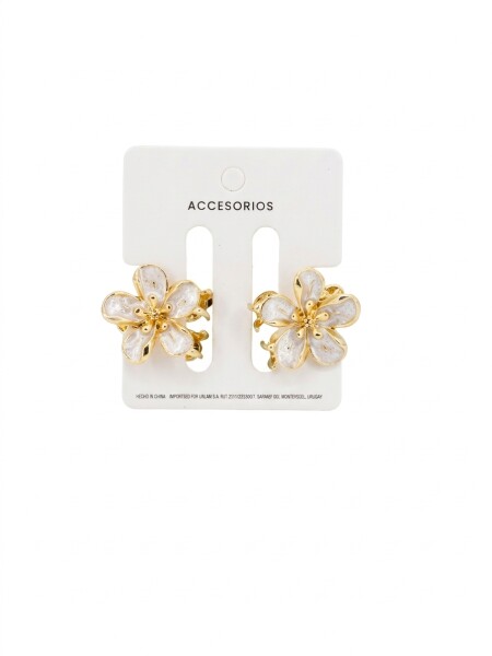 BROCHE PARIS PACK X 2 VARIANTE 1