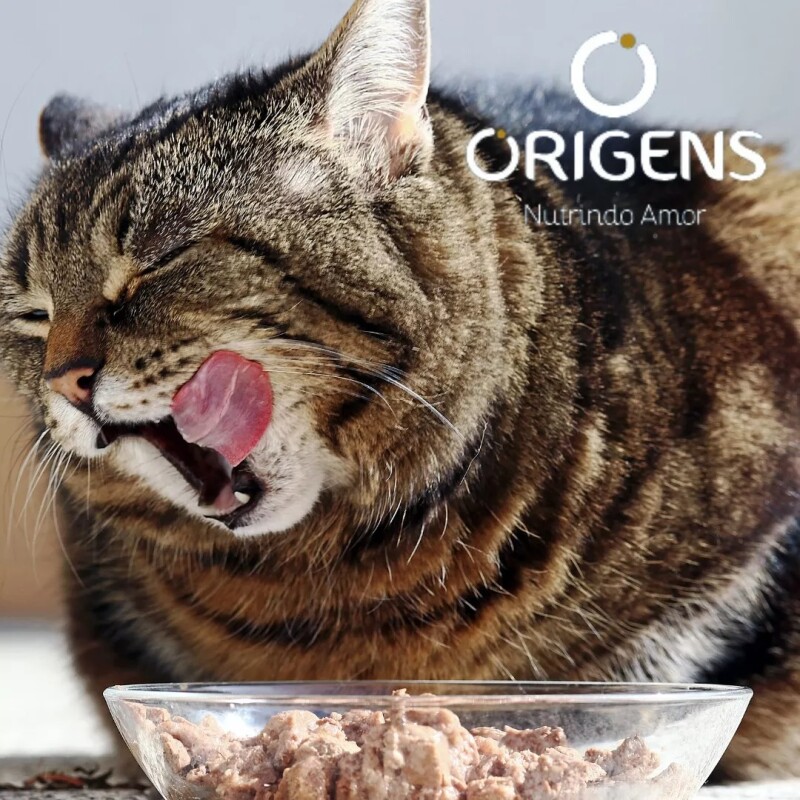 SALSA ORIGENS PARA GATOS CASTRADOS 85 GR. TRACTO URINARIO SALMON