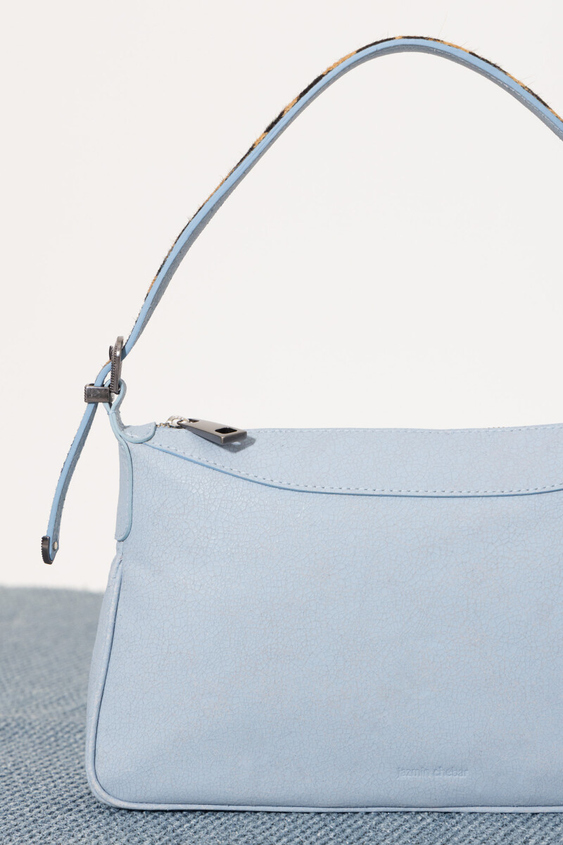 CARTERA VALENCIA Celeste