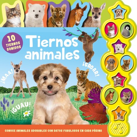 10 SONIDOS DE ANIMALES: TIERNOS ANIMALES 10 SONIDOS DE ANIMALES: TIERNOS ANIMALES