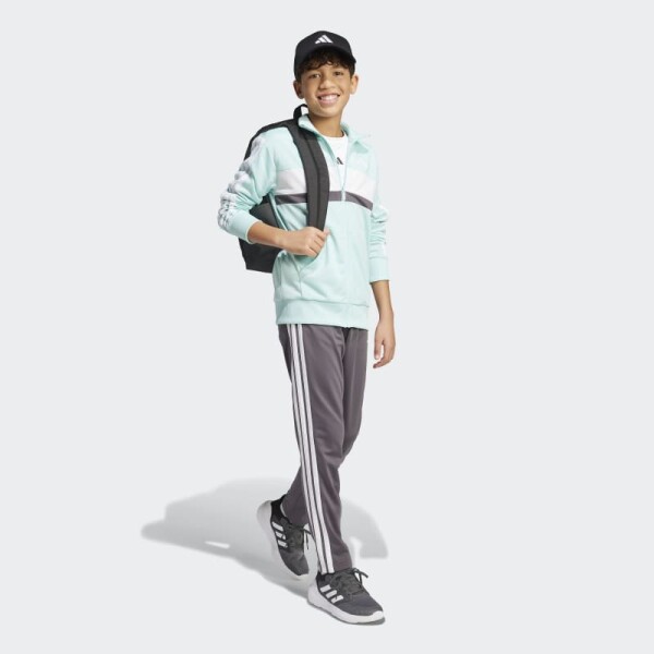 Conjunto Adidas Seasonal Essentials Tiberio Tricot 3 Rayas Multicolor