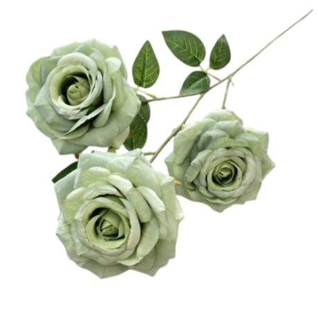Rosa Tres Flores Verde Pastel