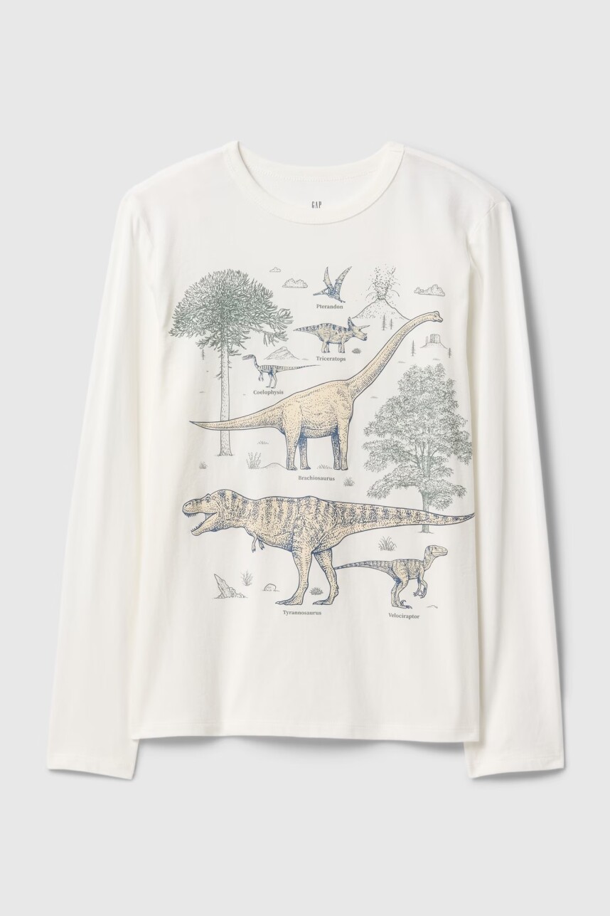 Remera Gràfico Manga Larga Niño Dinosaur
