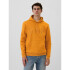 V-HERITAGE LOGO FILL PO TIGERS EYE 651