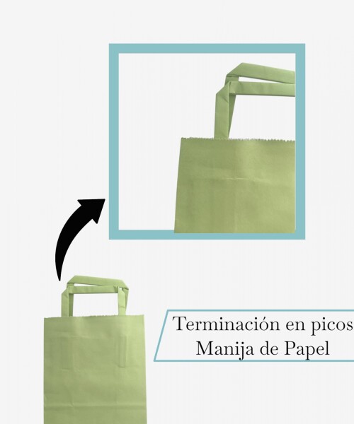 Bolsa lisa acuario 14x08x20 cm PISTACCHIO