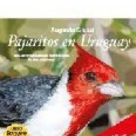 PAJARITOS EN URUGUAY PAJARITOS EN URUGUAY