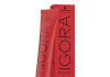 Igora royal