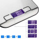Balanza digital de cocina en acero inoxidable GRIS